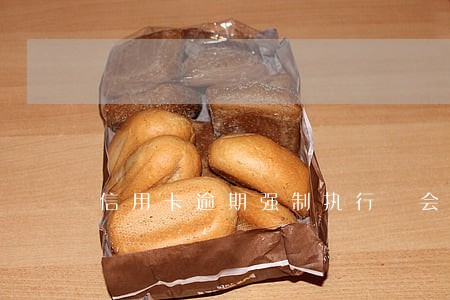 信用卡逾期强制执行 会拘留 信用卡逾期强制执行 会拘留